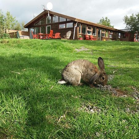 Geysir Hestar Vandrehjem Haukadalur Eksteriør billede