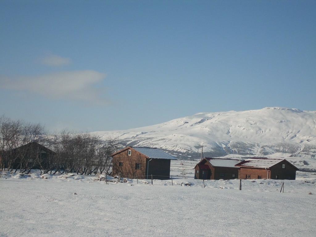 Geysir Hestar Vandrehjem Haukadalur Værelse billede