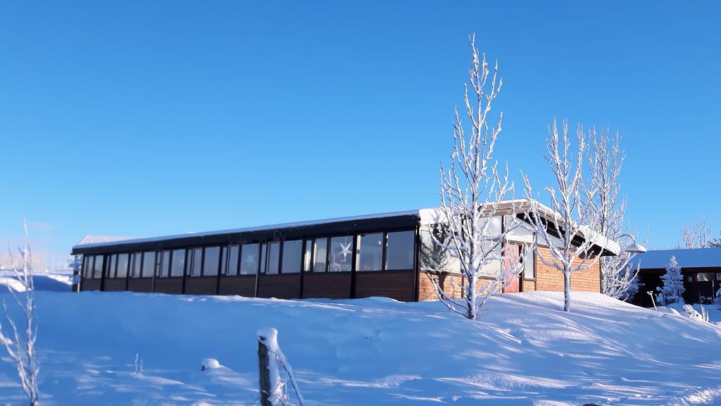 Geysir Hestar Vandrehjem Haukadalur Eksteriør billede