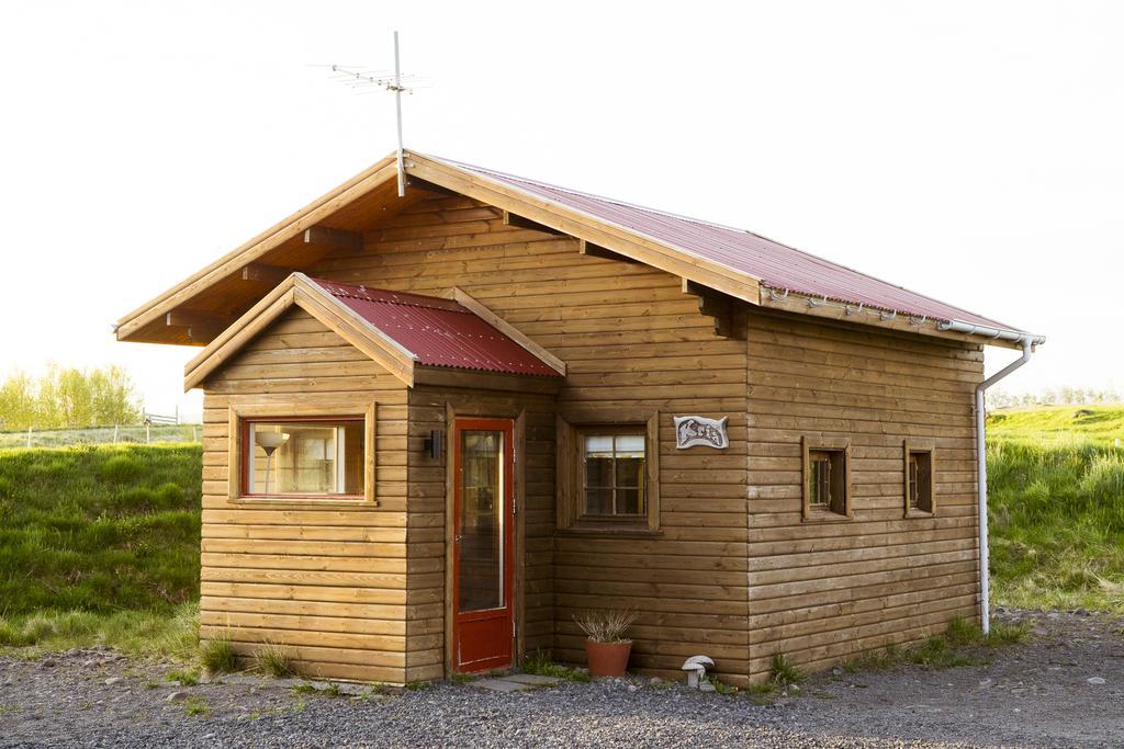 Geysir Hestar Vandrehjem Haukadalur Eksteriør billede