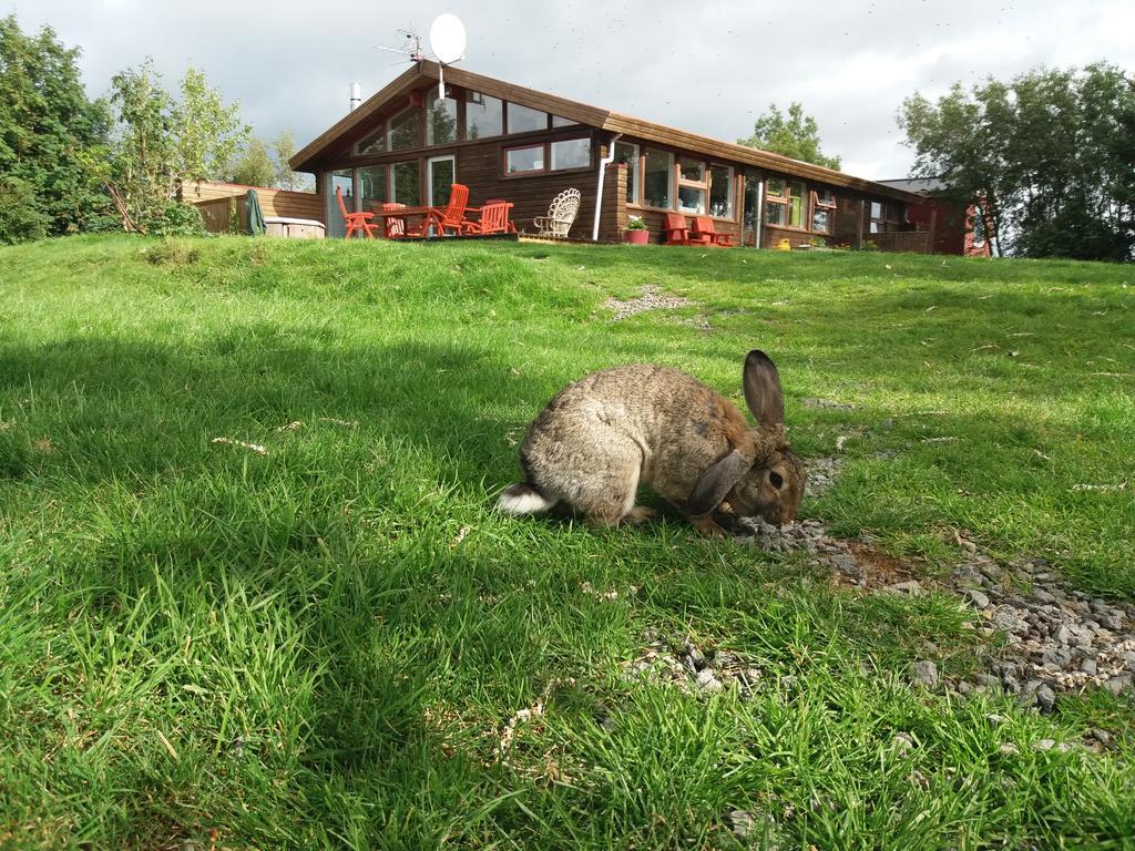 Geysir Hestar Vandrehjem Haukadalur Eksteriør billede